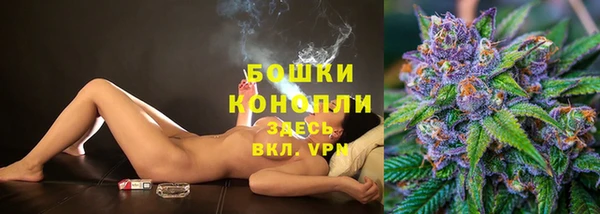 ГАЛЛЮЦИНОГЕННЫЕ ГРИБЫ Балабаново