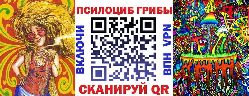 Галлюциногенные грибы Psilocybe  MEGA зеркало  Татарск 